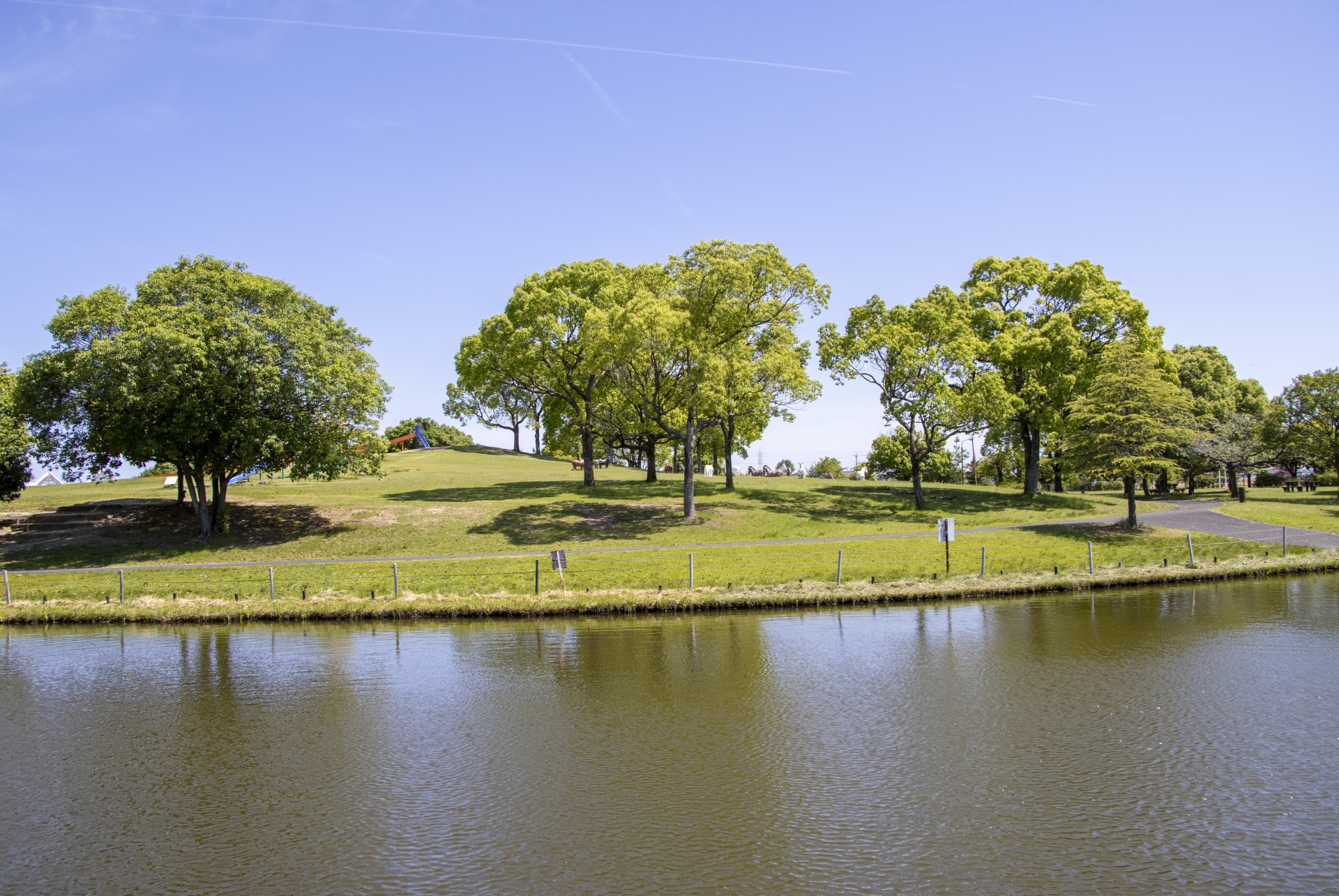 某公園　敷地内監視カメラのリプレイス