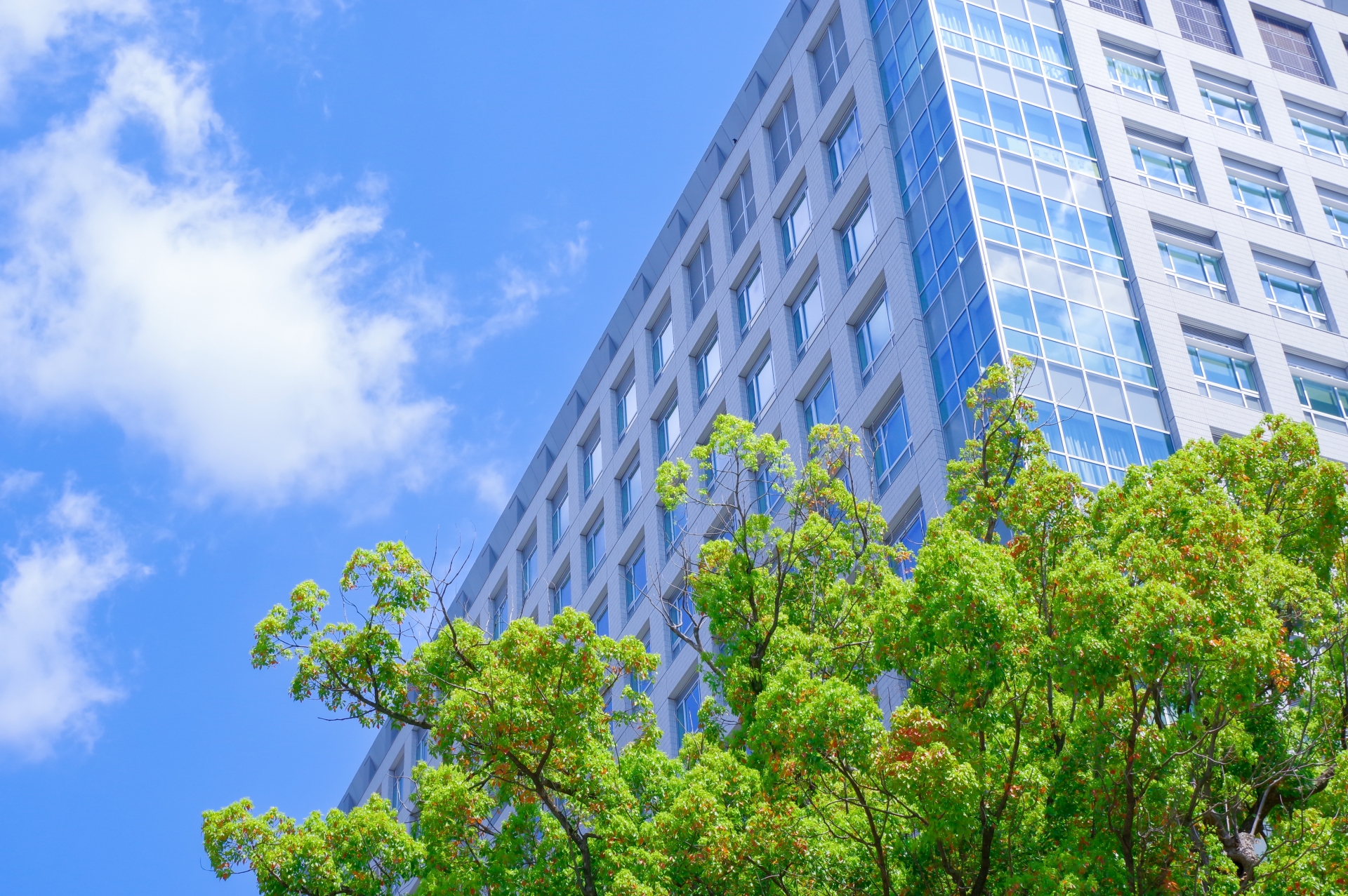 会議室向け音響システムの改善と機能拡張